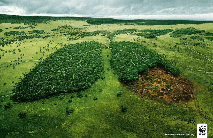 Cause-based marketing WWF Amazon deforestation campaign