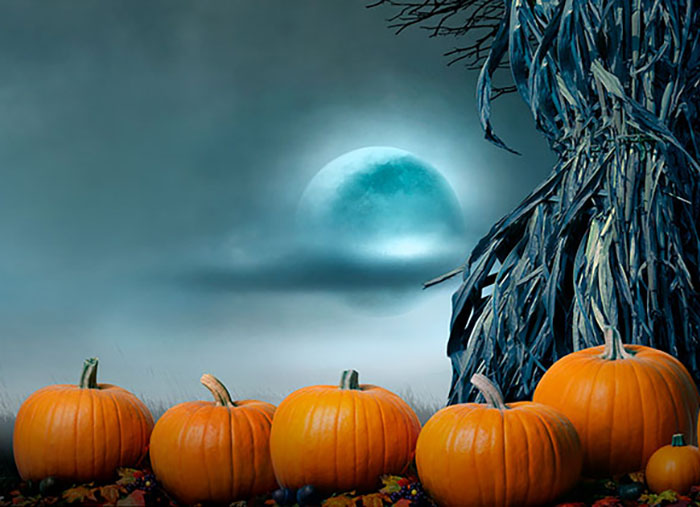 65 Halloween Greetings & Sayings for All Your Marketing Needs