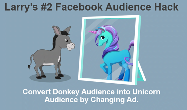 analyzing facebook audience performance